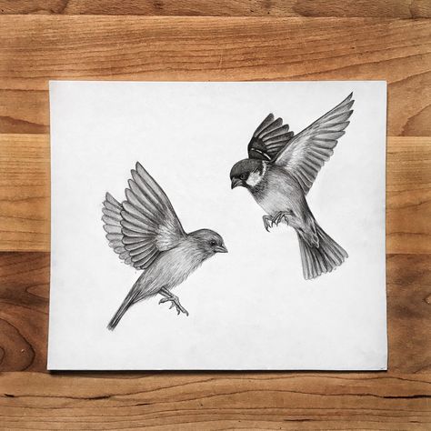 House Sparrow Drawing, House Sparrow Tattoo, Sparrow Drawing Simple, Bird Drawing Easy, Drawing Easy Pencil, Simple Bird Drawing, Meditative Drawing, Shading Pencil, Sparrow Drawing