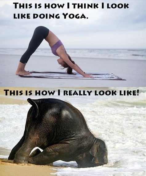 Funny Yoga Pictures Humor, Yoga Memes Funny Hilarious, Yoga Memes Humor, Yoga Memes Funny, Yoga Funny Humor, Laughing Yoga, Funny Yoga Pictures, Yoga Jokes, Funny Yoga Poses