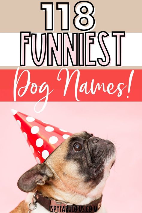 If you're a dog lover with a sense of humor, why not use your dog's name as an opportunity to make you and everyone else smile everytime they hear it? These names offer a wide range of funny choices, from puns, to famous people, and even food inspiration. Find your next favorite funny dog name here. #funny #dognames #petnames Funny Puppy Names, Funny Dog Names Boy, Fun Dog Names, Food Dog Names, Funny Names For Dogs, Food Names For Dogs, Funny Girl Dog Names, Different Dog Names, Clever Dog Names