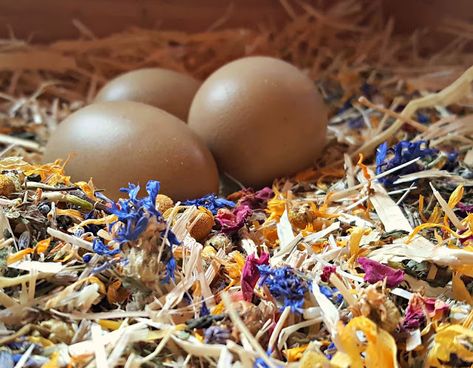 Nesting Box Herbs, Herbs For Chickens, Hen Coop, Herbs List, Chicken Nesting Boxes, Chicken Keeping, Poultry Feed, Backyard Chicken Farming, Best Chicken Coop