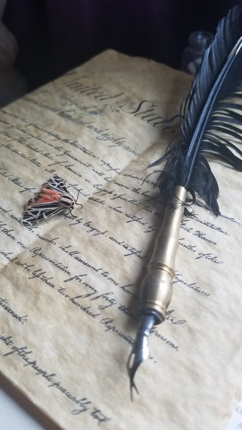 Book And Quill Aesthetic, Quill And Ink Aesthetic, Quill Pen Aesthetic, Victorian Letters Aesthetic, Constitution Aesthetic, Scroll Aesthetic, Document Aesthetic, Kaveh Aesthetic, Quill Aesthetic