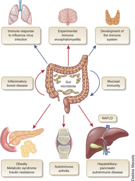 Lung Detox, Holistic Diet, Brain Connections, Gut Brain, Gut Microbiota, Stomach Problems, Autoimmune Disorder, Immune Response, Positive And Negative