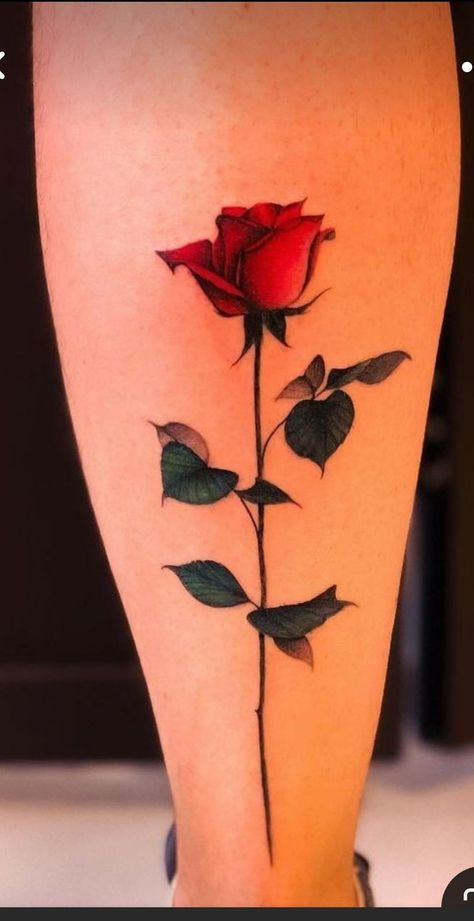 Rose Colored Tattoo, Colored Rose Tattoo, Rose Tattoo Red, Rose Tattoo Color, Red Rose Tattoos, Rose Bud Tattoo, Rose Vine Tattoos, Rose Tattoo Stencil, Red Tattoo Ideas