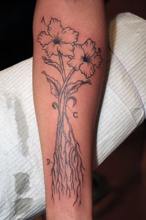 Flowers with roots. Flower Tattoos, Root Tattoo Ideas, Flower Tattoos Ankle, Flower With Roots, Root Tattoo, Tattoo Ideas Flower, Tattoos Ankle, Roots Tattoo, Flower Tattoo