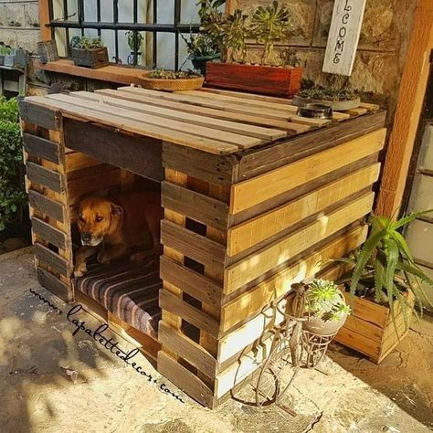 Diy Dog Run, Outdoor Dog Runs, Outside Dog Houses, Kennel Ideas Outdoor, Pallet Dog House, Diy Pet Bed, Puppy Room, Wooden Dog House, Dog House Plans