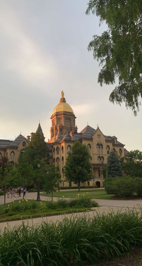 Notre Dame Law School, University Of Notre Dame Aesthetic, Notre Dame University Aesthetic, Notre Dame Aesthetic, Notre Dame Campus, Notre Dame College, University Aesthetic, College Vision Board, Go Irish