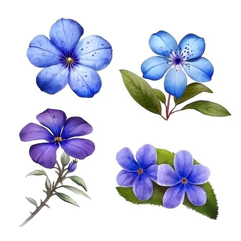 Periwinkle flower watercolor paint colle... | Premium Vector #Freepik #vector #pansy Periwinkle Flowers Tattoo, Periwinkle Drawing, Free Use Images, Periwinkle Flower, Periwinkle Flowers, Garden Tattoos, Paint Collection, Garden Tattoo, Reference Pics