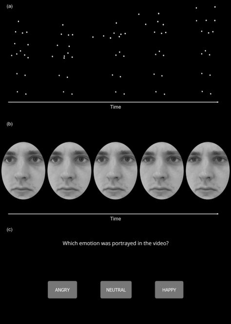 EmBody/EmFace as a new open tool to assess emotion recognition from body and face expressions | Scientific Reports Dynamic Facial Expressions, Dynamic Faces, Body Expressions, Emotion Recognition, Nonverbal Communication, Social Influence, Emotional Body, Facial Recognition, Face Expressions