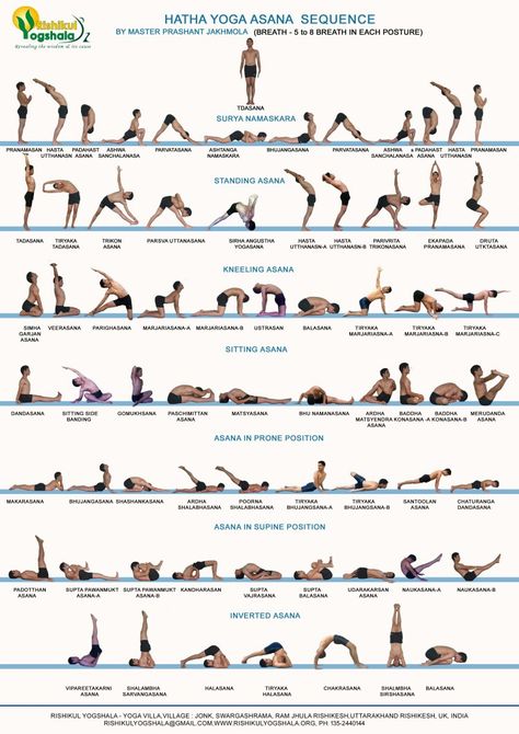 Yes! More practice! Bikram Yoga Poses, Hata Yoga, Yoga Flow Sequence, Yoga Ashtanga, Ashtanga Vinyasa Yoga, Yoga Vinyasa, Kriya Yoga, Poses For Beginners, Yoga Sequence