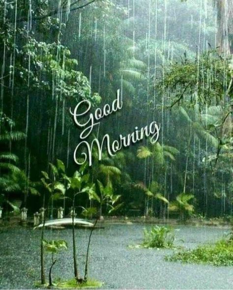 Good Morning Rain, Rainy Good Morning, Good Morning Rainy Day, Good Morning Winter, Good Morning Sunday Images, Morning Quotes For Friends, Good Morning Funny Pictures, Rainy Morning, Good Morning Nature