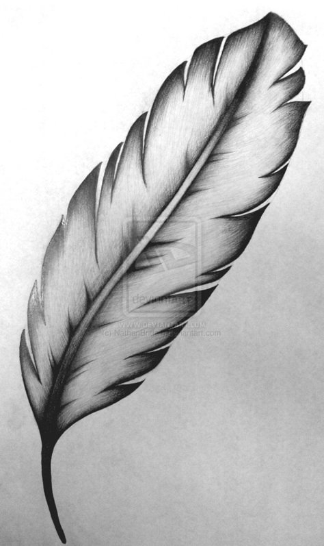 Native American Feather Tattoo Men, Burning Feather, Feather Tattoo Drawing, Mine Map, Feather Sketch, Native American Feathers, Feather Drawing, Feather Tattoo Design, Karakter Disney