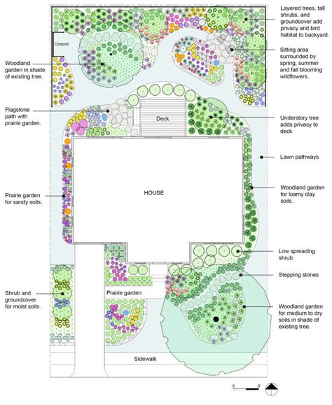 Native Garden Plan, Species Ideas, Native Plant Landscape, Red Twig Dogwood, Ecology Design, Prairie Garden, Garden Plan, Garden Decor Ideas, Garden Design Plans