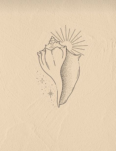 Sun And Shell Tattoo, Conk Shell Tattoos, Queen Conch Shell Tattoo, Whelk Shell Tattoo, Fine Line Sea Shell Tattoo, Shell Line Tattoo, Simple Shell Tattoo, Fine Line Shell Tattoo, She’ll Tattoo