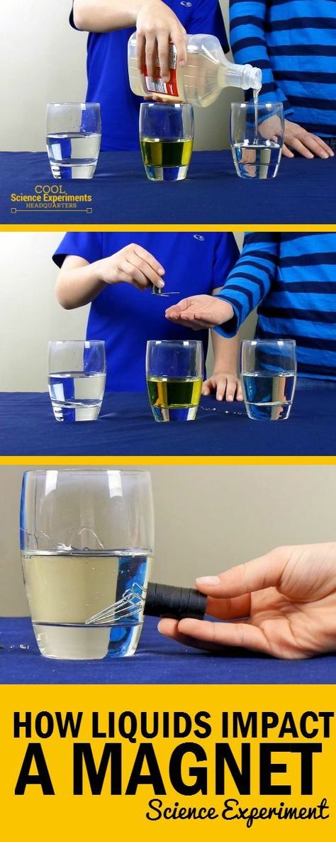 How Liquid Impacts a Magnet Experiment - Steps Magnet Science Experiment, Magnet Science, Projects Science, Science Experience, Magnets Science, Simple Science, Science Club, 4th Grade Science, Kid Experiments