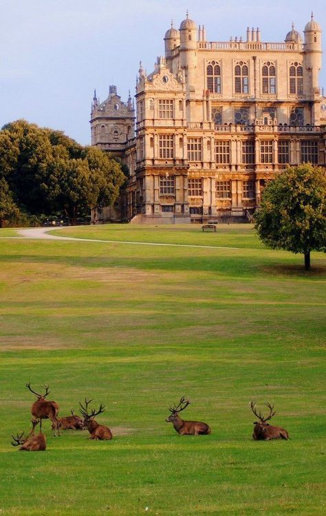 Wollaton Hall, Nottingham England, Manor Homes, Wayne Manor, Large Building, Nottingham Uk, Kentish Town, English Manor Houses, English Manor