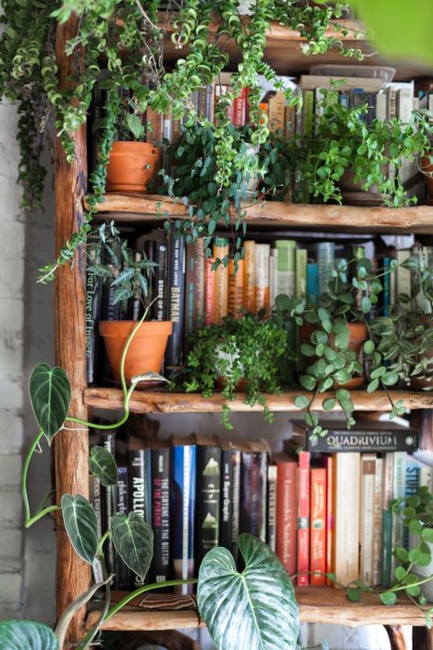 Books Boho, How To Decorate A Bookshelf, Books And Plants, Lots Of Books, Apartment Plants, Brooklyn Apartment, Separate Living Room, Bookshelf Styling, Decoration Plante