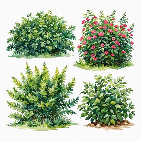 Bushes Croquis, Painting Bushes And Trees, Tree Cute Drawing, Watercolour Bush, Bush Tutorial, Draw Bushes, Bush Illustration, Bush Painting, Bush Drawing