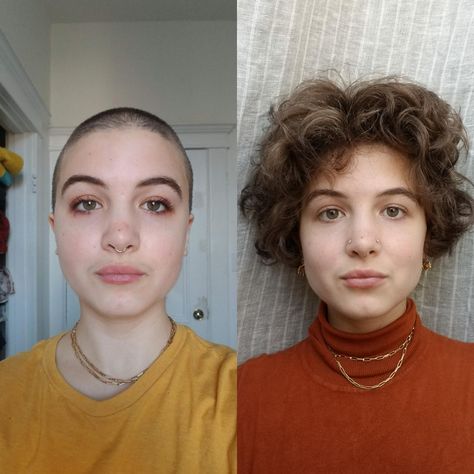 A 8 months hair growth progress!!! I can finally see my natural texture/volume:) Buzzcut Growth, Growing Out A Buzzcut Women, Growing Out Buzzcut Hairstyles, Hair Growth Progress, Tomato Tomato, Buzz Cut Women, Shaved Head Women, Buzzed Hair, Buzz Cuts