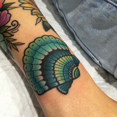 Seashell Tattoo | Tattoo Ideas and Inspiration | Tilly Dee Traditional Tattoo Wrist, Seashell Tattoo, Traditional Tattoo Stencils, Seashell Tattoos, Shell Tattoos, Whale Tattoos, Beach Tattoo, Ship Tattoo, Botanical Tattoo