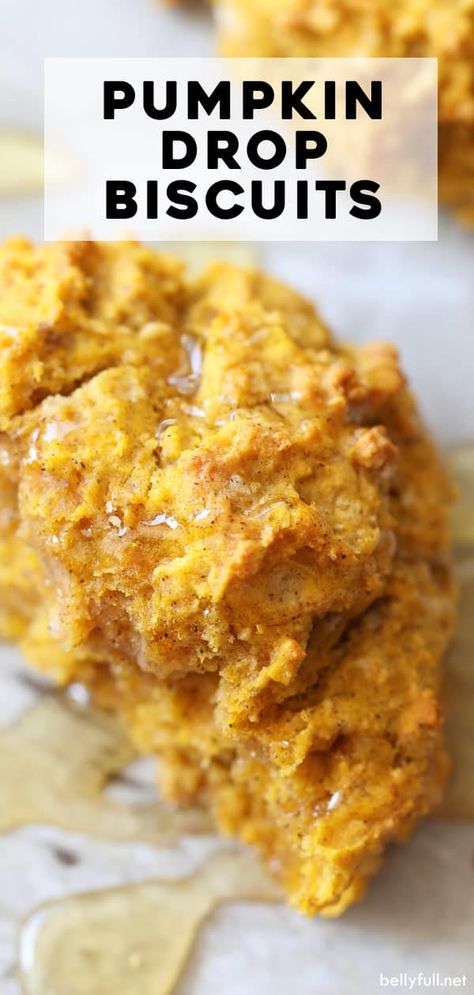 Pumpkin Biscuits With Bisquick, Pumpkin Drop Biscuits, Pumpkin Buttermilk Biscuits, Bisquick Pumpkin Recipes, Bisquick Pumpkin Scones, Belly Full Pumpkin Scones, Bisquick Sweet Potato Biscuits, Squash Biscuits, Pumpkin Butterscotch Cookies