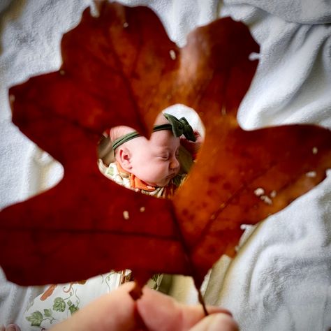 #babygirl #babyphotography #babyphotoshootideas #fallphotoshoot #babyhalloweencostumes #babyhalloweenphotos # #halloween #cutebaby #fallbabyphoto #babyphotoshootideas #fallleaves Pumpkin And Baby Photos, Infant Fall Photoshoot At Home, 4 Month Old Baby Photoshoot Fall, Fall Photo Shoot Ideas For Babies, Newborn Halloween Photoshoot At Home, Fall Baby Shoot Ideas, Infant Halloween Pictures, Fall Photoshoot Babygirl, Fall 3 Month Baby Pictures