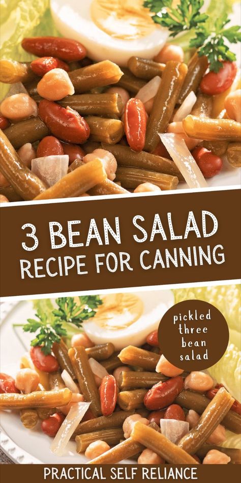 pickled three bean salad recipe for canning Canning Bean Salad, Canned Bean Salad Recipes, Canned Green Bean Salad, Quick Pickled Beans, Canning Butter Beans, Pickled Beans Recipe Easy, Canned Bean Recipes, Three Bean Salad Recipe, 3 Bean Salad Recipe