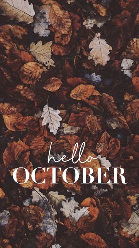 Happy October Images, October Aesthetic Wallpaper Iphone, October Pictures Fall, October Wallpaper Backgrounds, October Vibes Wallpaper, Hello October Month, Hello October Aesthetic, October Quotes Fall, Hello October Wallpapers