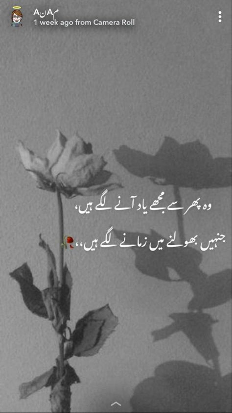 Soulful Poetry, Murshad Poetry, New Urdu Poetry, Quotes By Language, Baby Dp, Eid Mubarek, Best Smile Quotes, Golden Words, Poetry Funny