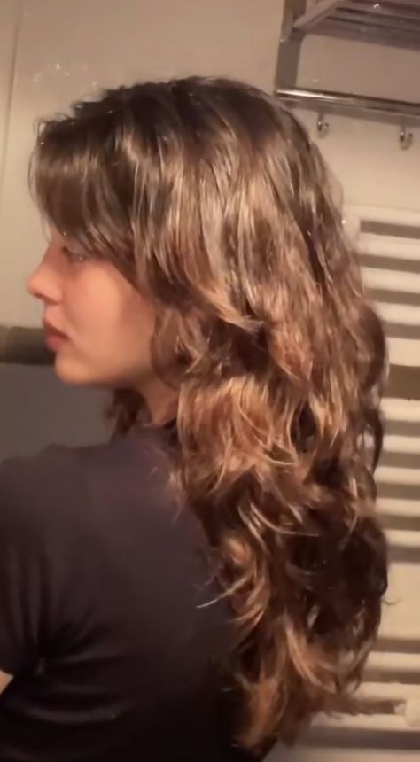 Butterfly Layers Hair Medium Wavy, Brunette Wavy Hairstyles, Selena Gomez Hair Curly, Layers 2b Hair, Clairo Haircuts, Layered Long Wavy Haircut, Layered Medium Hair Wavy, 2b Hair Face Framing Layers, Layered Haircuts For 2b Hair