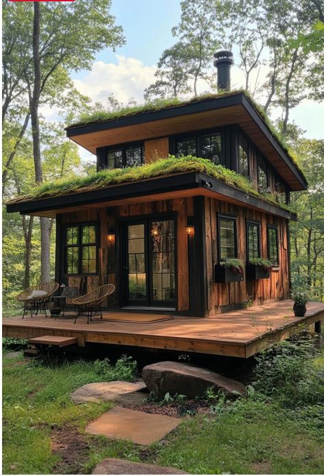 Tiny Forest House, Tiny House Tropical, Forest Tiny House, Modern Forest House Exterior, Tiny House Design Exterior, Loft House Design Exterior, Small Forest House, Eco Friendly House Architecture, Hotel Bathroom Design Luxury