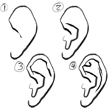 How to draw the Ear by Paperbag-Ninja Ear Art, Human Anatomy Art, Figure Drawing Reference, The Ear, Anatomy Art, Drawing Lessons, Human Anatomy, Art Tutorials Drawing, Digital Art Tutorial