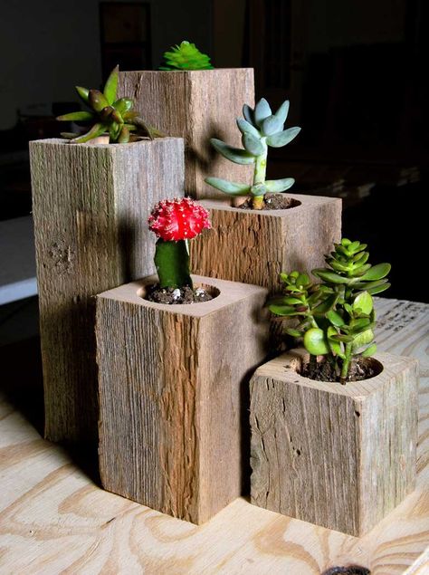 Barn Board Projects, Green Wall Garden, Concrete Garden Ornaments, Wood Succulent Planter, Diy Furniture Building, Succulent Planter Diy, Wood Planter, Wood Planter Box, Plant Box