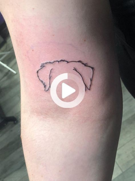 tatouage chien contour des oreilles #tatouagesdemain Fatima Hand Tattoo, Burnsville Minnesota, Ear Outline, Simple Forearm Tattoos, Cute Tattoos On Wrist, Cute Small Tattoos, Cute Tattoos For Women, My Puppy, Dog Tattoos