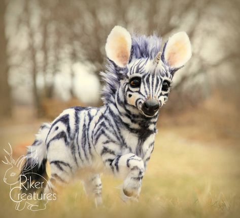 Baby Zoo Animals, Baby Zebra, Baby Animals Pictures, Super Cute Animals, Baby Animals Funny, Fluffy Animals, Cute Wild Animals, Cute Animal Photos