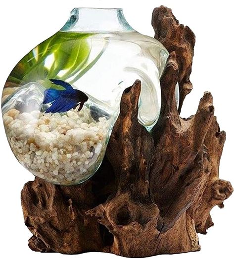 OMA Hand Blown Molten Glass & Teak Wood Terrarium/Vase/Fish Bowl - Premium Quality (12" - 14" High) Betta Fish Bowl, Water Terrarium, Tanaman Air, Cool Fish Tanks, Betta Aquarium, Fish Decor, Betta Fish Tank, Beta Fish, Cool Fish