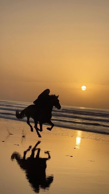 📍Essaouira morocco 🇲🇦 on Instagram: "Welcome in our paradise 📸 @yassine_cavalier 🐴 @tubsti" Horses At The Beach, Horse Riding Beach, Horse On Beach, Horses On The Beach, Horse Photography Poses, Horsey Life, Funny Horse Pictures, Essaouira Morocco, Beach Rides