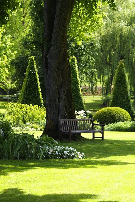 Garden Bench Formal Garden, Green Field, Have Inspiration, The Secret Garden, Formal Gardens, White Gardens, Gorgeous Gardens, Green Garden, Garden Bench