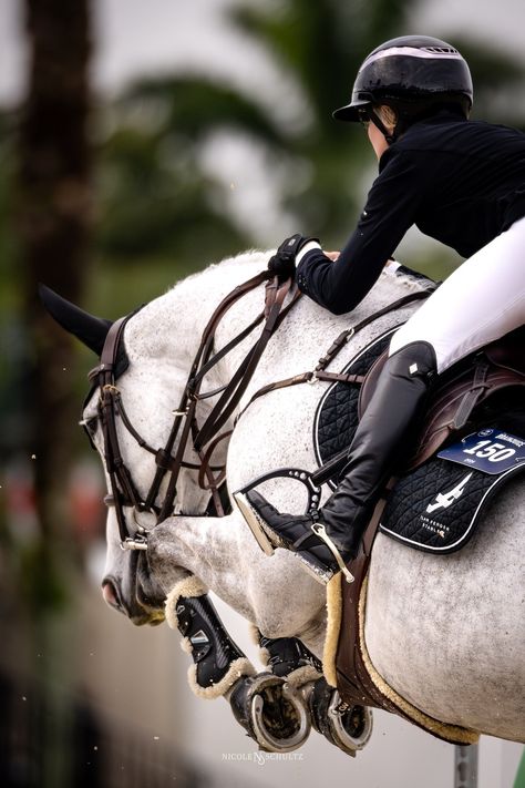 Nicole Schultz, Florida Equine Photographer Hermes Equestrian Aesthetic, Eventing Aesthetic, Show Jumping Aesthetic, Horse Show Aesthetic, Showjumping Aesthetic, Horse Show Jumping, Winter Equestrian, Winter Equestrian Festival, Horses Jumping