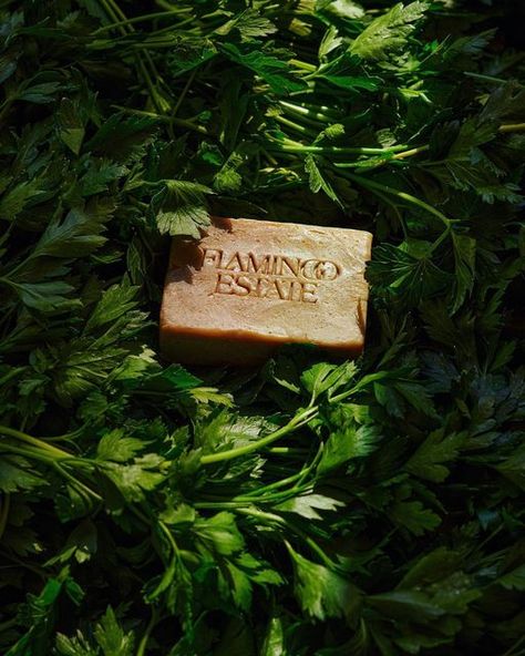 Flamingo Estate, Los Angeles on Instagram: "Daily garden essentials x" Jasmine Body Wash, Smoked Salsa, Flamingo Estate, Fennel Pollen, Middle Fingers, Strawberry Roses, Estate Garden, Pantry Essentials, Medium Roast Coffee