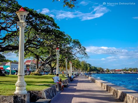 2023 Dumaguete Tourist Spots + 11 Things To Do in Dumaguete & Negros Oriental World Cultures, Dumaguete, 2023 Bucketlist, Bacolod City, Twin Lakes, Tourist Spots, Travel Goals, Beautiful Places To Visit, Tour Packages