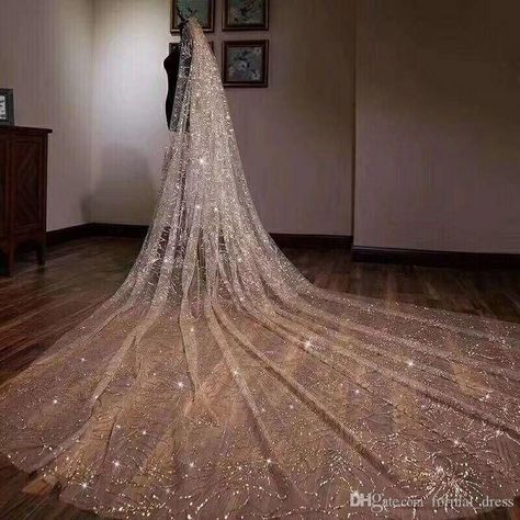 Korean Bride, Beaded Wedding Veils, Gold Glitter Wedding, Long Veil Wedding, Gold Wedding Dress, Bride Veil, Wedding Bridal Veils, Chapel Veil, Long Veil