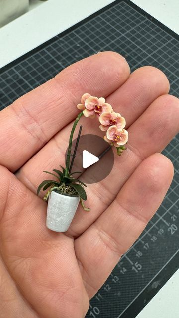 Astrid Wilk on Instagram: "Making my Phalaenopsis Orchid for „Urban Blooms“ 2024 Miniature Flower Show in NY.   My specialty: I make the leaf and flower patterns  for all of my miniature plants from colored oven-hardening polymer clay using the cane technique. I stack different colored clay together to form patterns and reduce the size to a few mm. This makes very delicate and realistic patterns possible. But it also takes some practice and a lot of patience.  The stem is made of floral wire and the pot is made by me from transparent resin. I really wanted a transparent pot for the orchids.  The nursing pots fit perfectly into the orchid planters. All parts have magnets to attach to each other and my custom made wooden shelves.  If you are in New York, head to Bushwick to see Urban Blooms Miniature Plants Diy How To Make, Miniature Plants Diy, Polymer Clay Plants, Home Made Clay, Clay Orchid Pots, Mini Printables, Miniature Orchids, Orchid Planters, Polymer Flowers