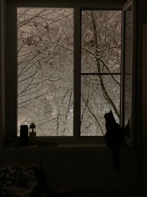 Dark Light Academia, Light Academia Aesthetic, Dark Christmas, Madly Deeply, I Love Winter, Escape Reality, Winter Vibes, Brasov, December 2024