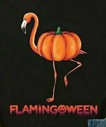 https://www.facebook.com/morefloridamemes/photos/a.691081904391602/1420225314810587/?type=3 Halloween Flamingo, Flamingo Pictures, Halloween Memes, Flamingo Decor, Flamingo Art, Flamingo Party, Pink Bird, Beach Cottage, Chiaroscuro