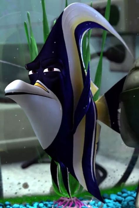 In Finding Nemo (2003), Gill Is A Moorish Idol. This Species Is Known To Not Handle Captivity Well, So Him Being The One Who Constantly Comes Up With Escape Plans Makes Sense Gill Finding Nemo, Moorish Idol, Finding Nemo 2003, Male Cartoon Characters, Disney Images, Finding Dory, Pixar Movies, Celebrities Humor, Adam Driver