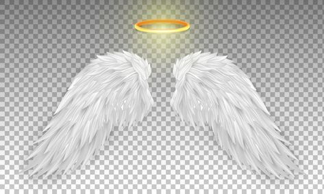 White angel wings with golden halo on a ... | Premium Vector #Freepik #vector #golden-wings #gold-wings #angel-wings #wings Wings Wallpaper, White Angel Wings, Golden Wings, White Angel, White Wings, Psd Icon, Vector Photo, Angel Wings, Premium Vector