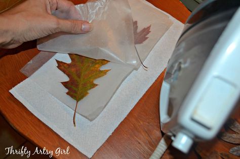 How to Easily Preserve Fall Leaves With an Iron and Wax Paper Preserve Fall Leaves, How To Preserve Leaves, Wax Paper Crafts, Easy Diy Fall Decor, Easy Fall Wreaths, Leaf Projects, Halloween Post, Diy Leaves, Pressed Leaves