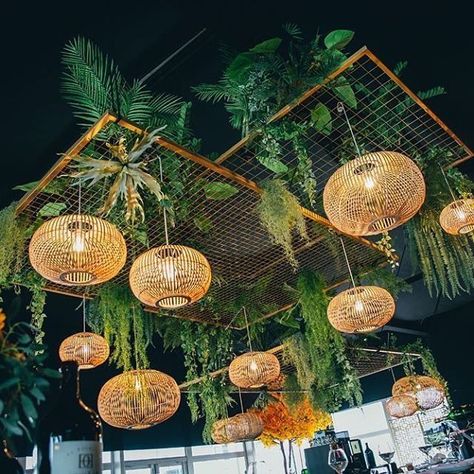 Hanging Plants Outdoor, Garden Cafe, Back Bar, Coffee Shop Design, Bar Design Restaurant, Outdoor Restaurant, Cafe Interior Design, Restaurant Interior Design, The Ceiling