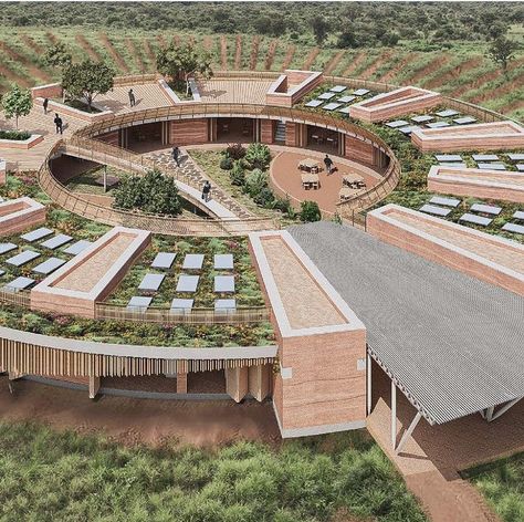 Roots Architecture Concept, Circular Building Design, Enclosure Architecture, Permaculture Architecture, Culture Center Architecture, Recreation Architecture, Architecture Site Model, Agricultural Architecture, Circular Architecture