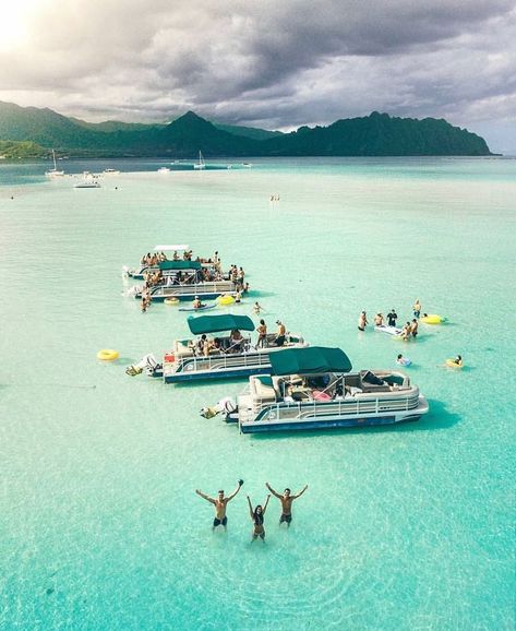 Summertime at the Kaneohe Sandbar Kaneohe Sandbar, Hawaii Adventures, Aloha Friday, Nice Pic, Oahu Hawaii, Vacation Destinations, Oahu, Maui, This Weekend